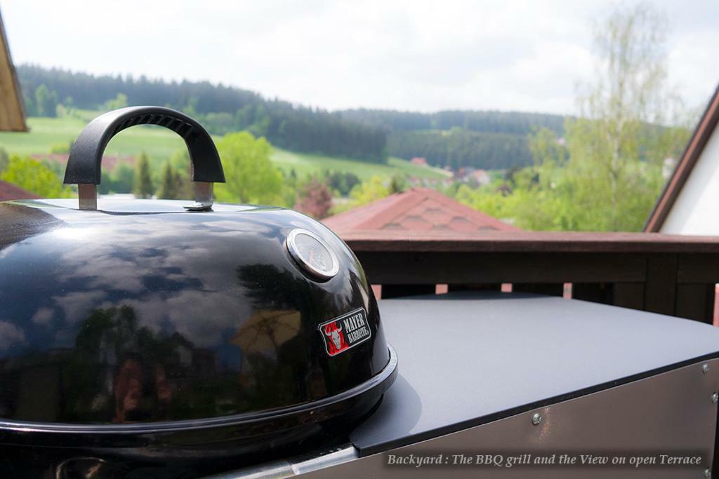 Вилла Entire House In Schwarzwald With Mountain View, Private Gym,Sauna And Garden Unterkirnach Экстерьер фото